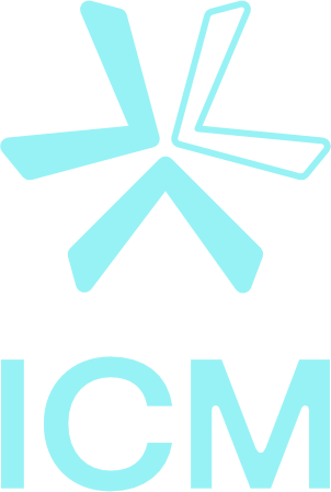 The ICM